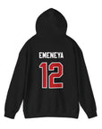 FRANKLIN EMENEYA - JERSEY HOODIE